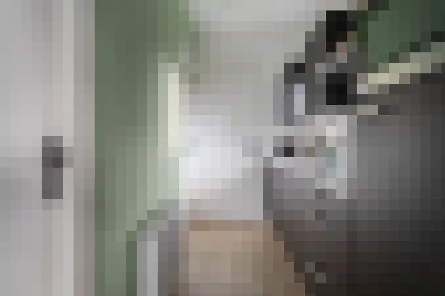 Lijsbeth Tijsweg 7 108 Berkhout thumbnail 11