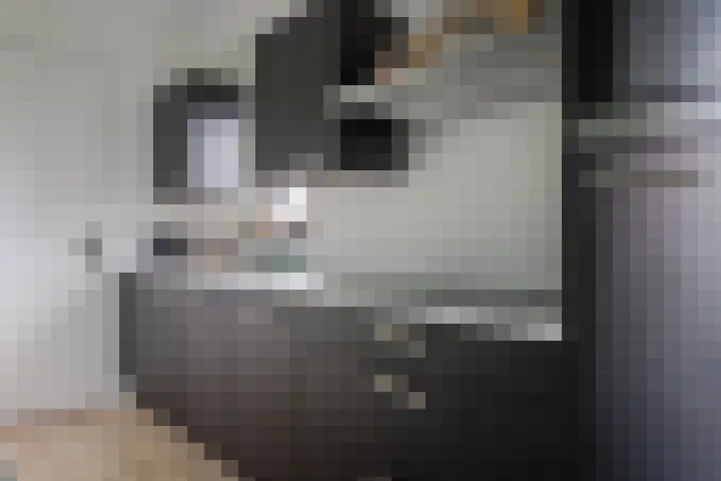 Lijsbeth Tijsweg 7 108 Berkhout thumbnail 12