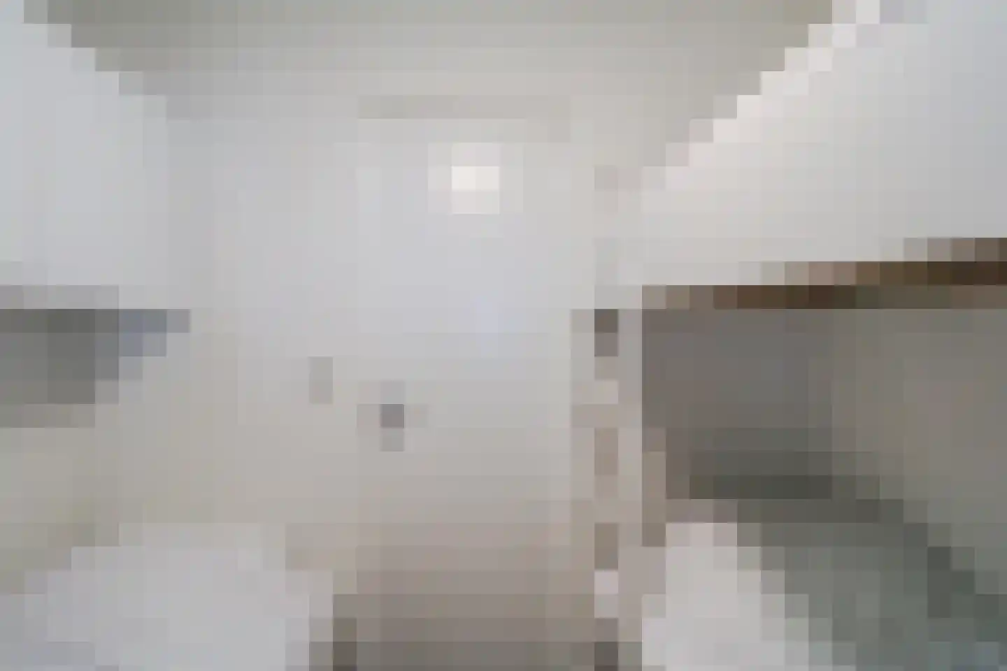 Lijsbeth Tijsweg 7 113 Berkhout thumbnail 12