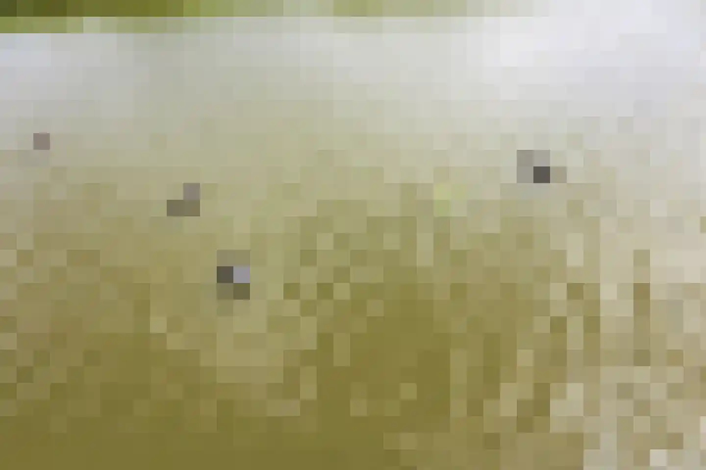 Lijsbeth Tijsweg 7 131 Berkhout thumbnail 23