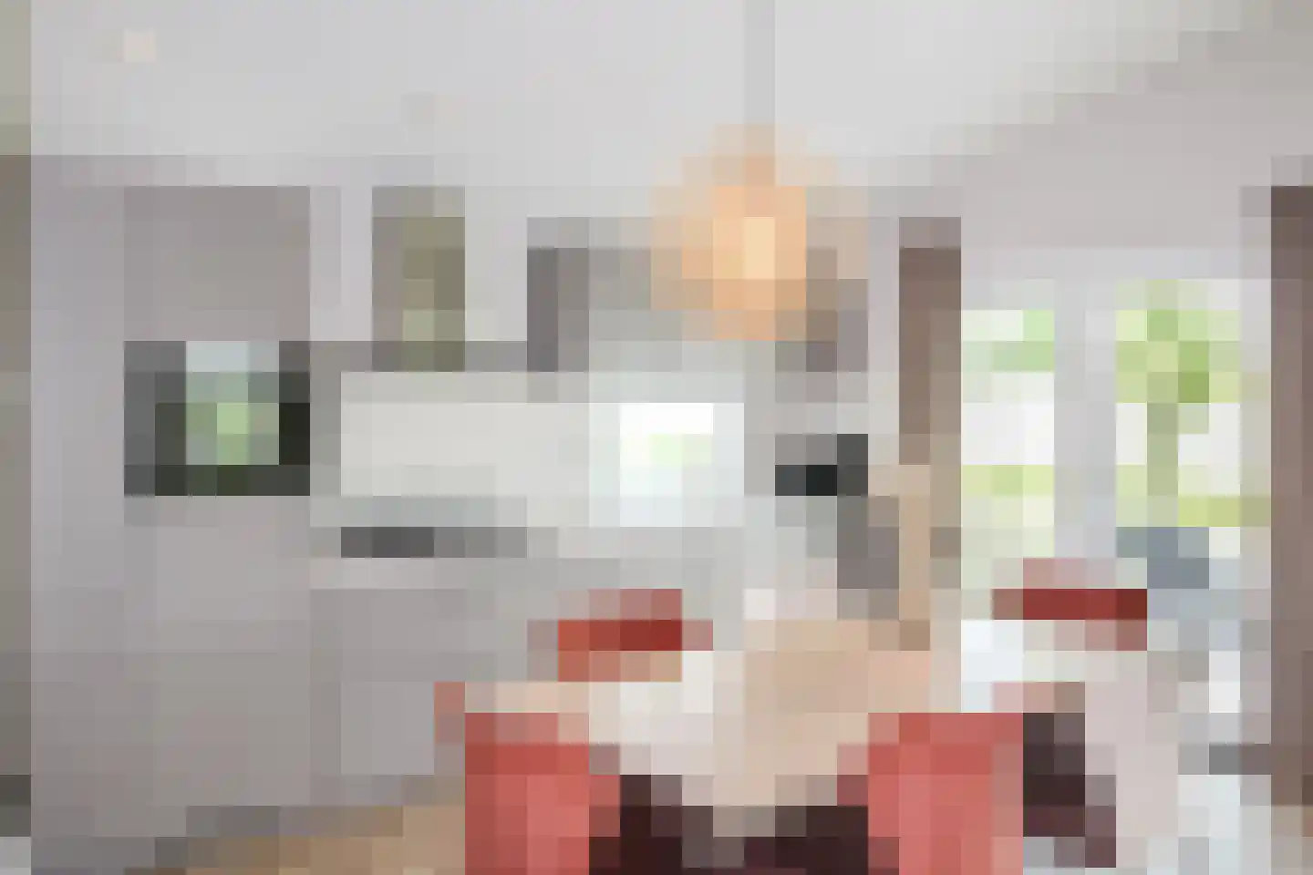 Lijsbeth Tijsweg 7 131 Berkhout thumbnail 8