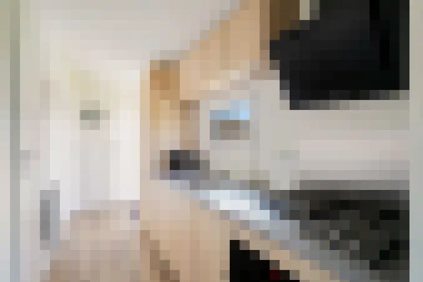 Lijsbeth Tijsweg 7 140 Berkhout thumbnail 10