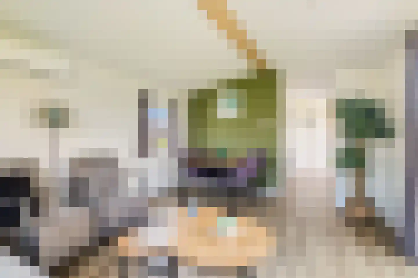 Lijsbeth Tijsweg 7 140 Berkhout thumbnail 6