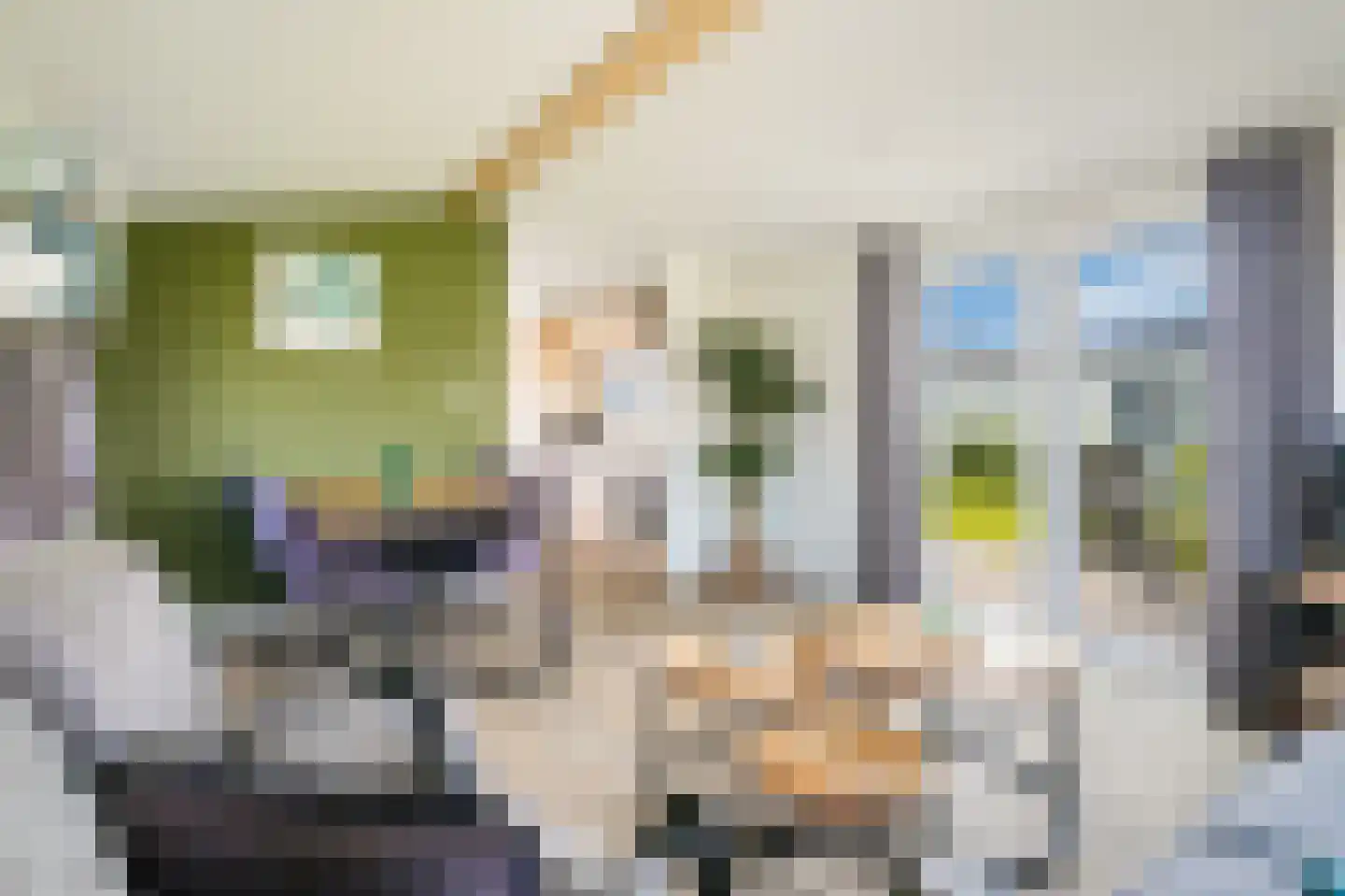 Lijsbeth Tijsweg 7 140 Berkhout thumbnail 7