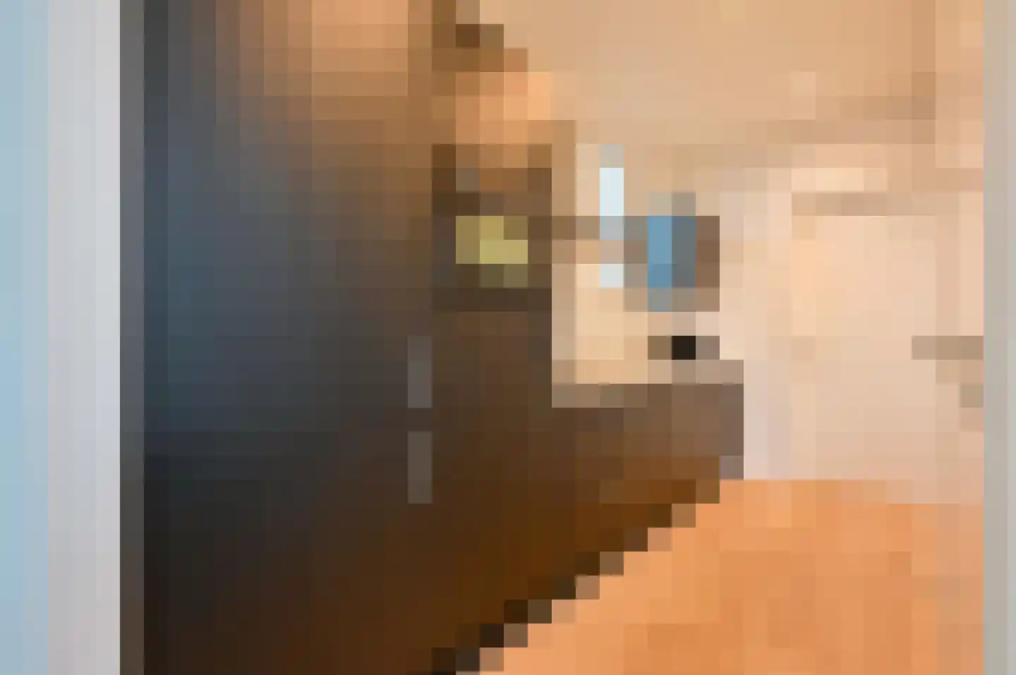 Lijsbeth Tijsweg 7 205 Berkhout thumbnail 11