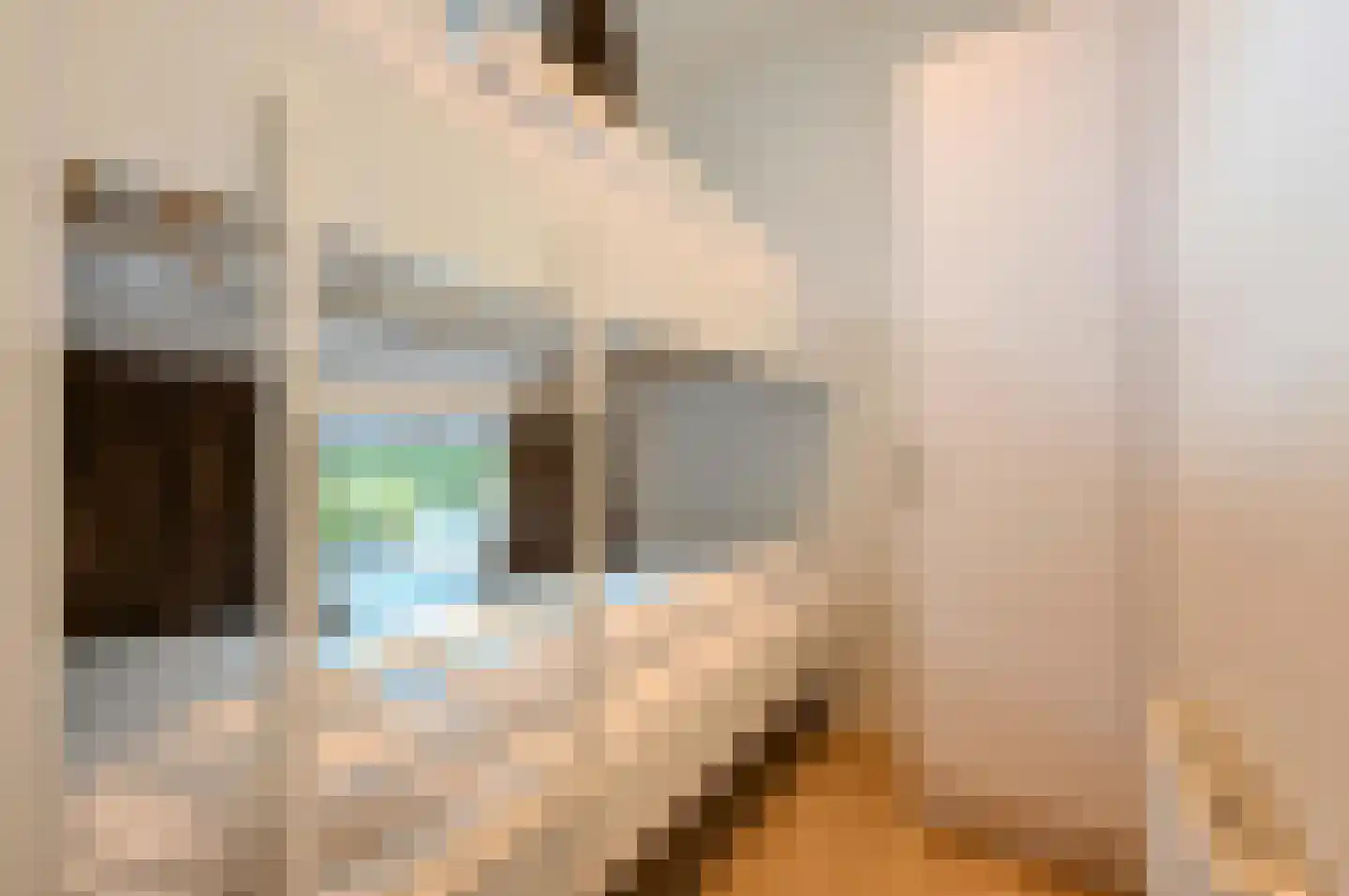 Lijsbeth Tijsweg 7 205 Berkhout thumbnail 20
