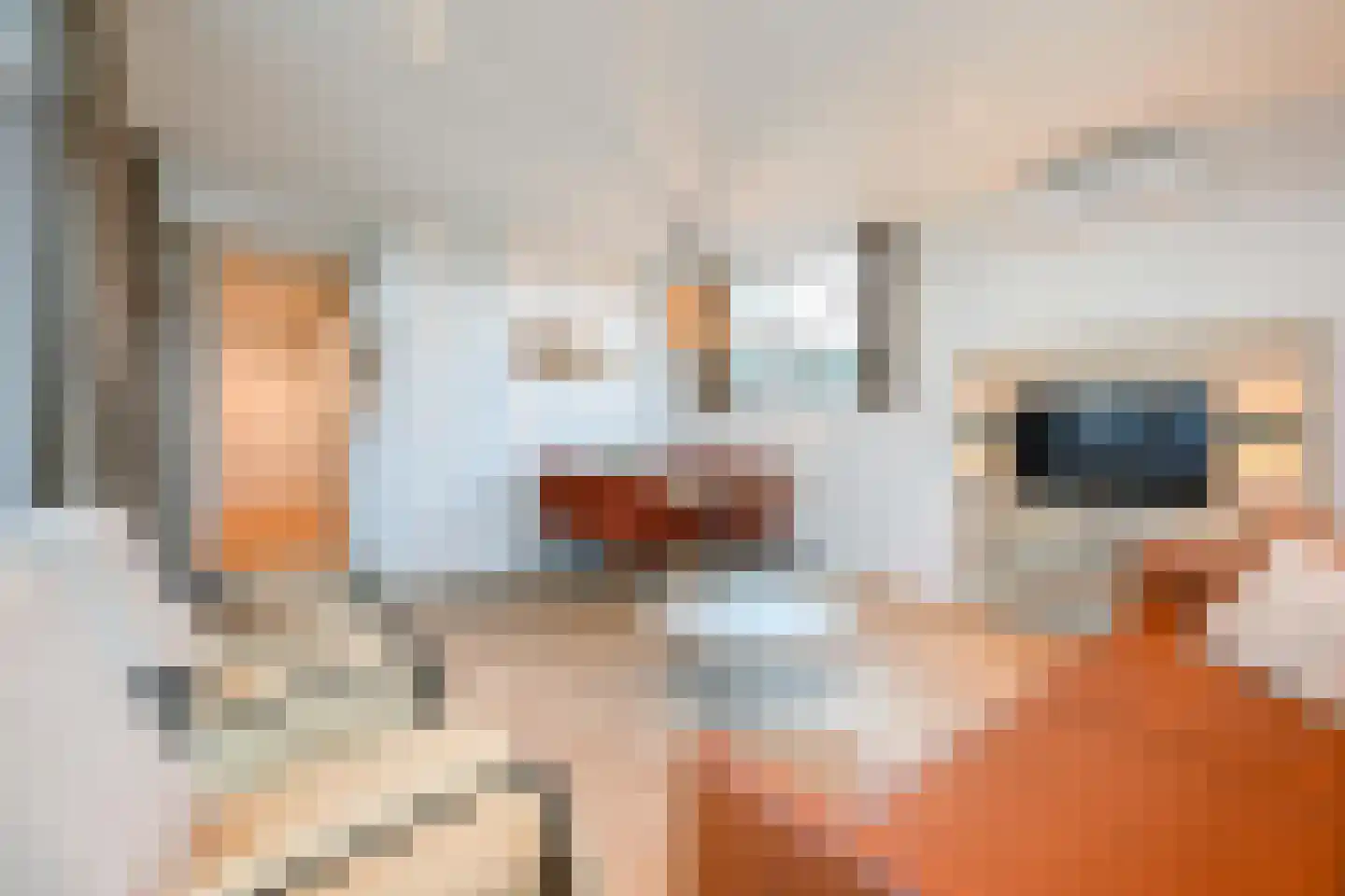 Lijsbeth Tijsweg 7 205 Berkhout thumbnail 7