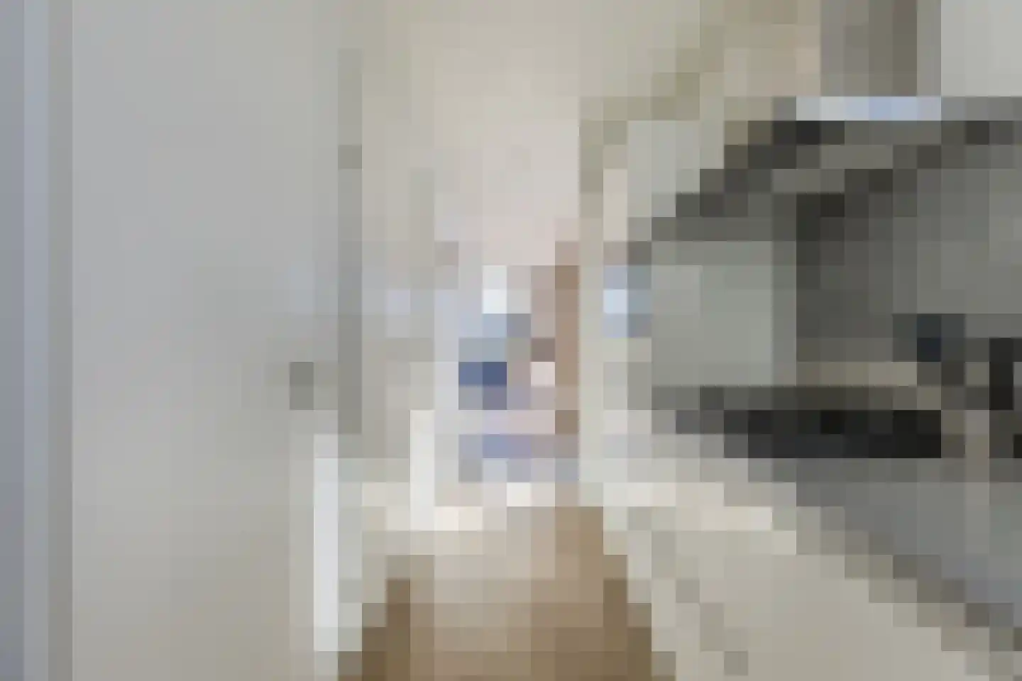 Lijsbeth Tijsweg 7 215 Berkhout thumbnail 17
