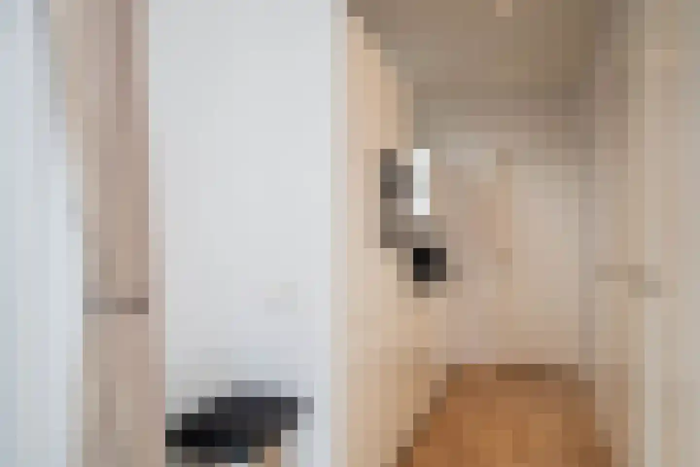 Lijsbeth Tijsweg 7 215 Berkhout thumbnail 17