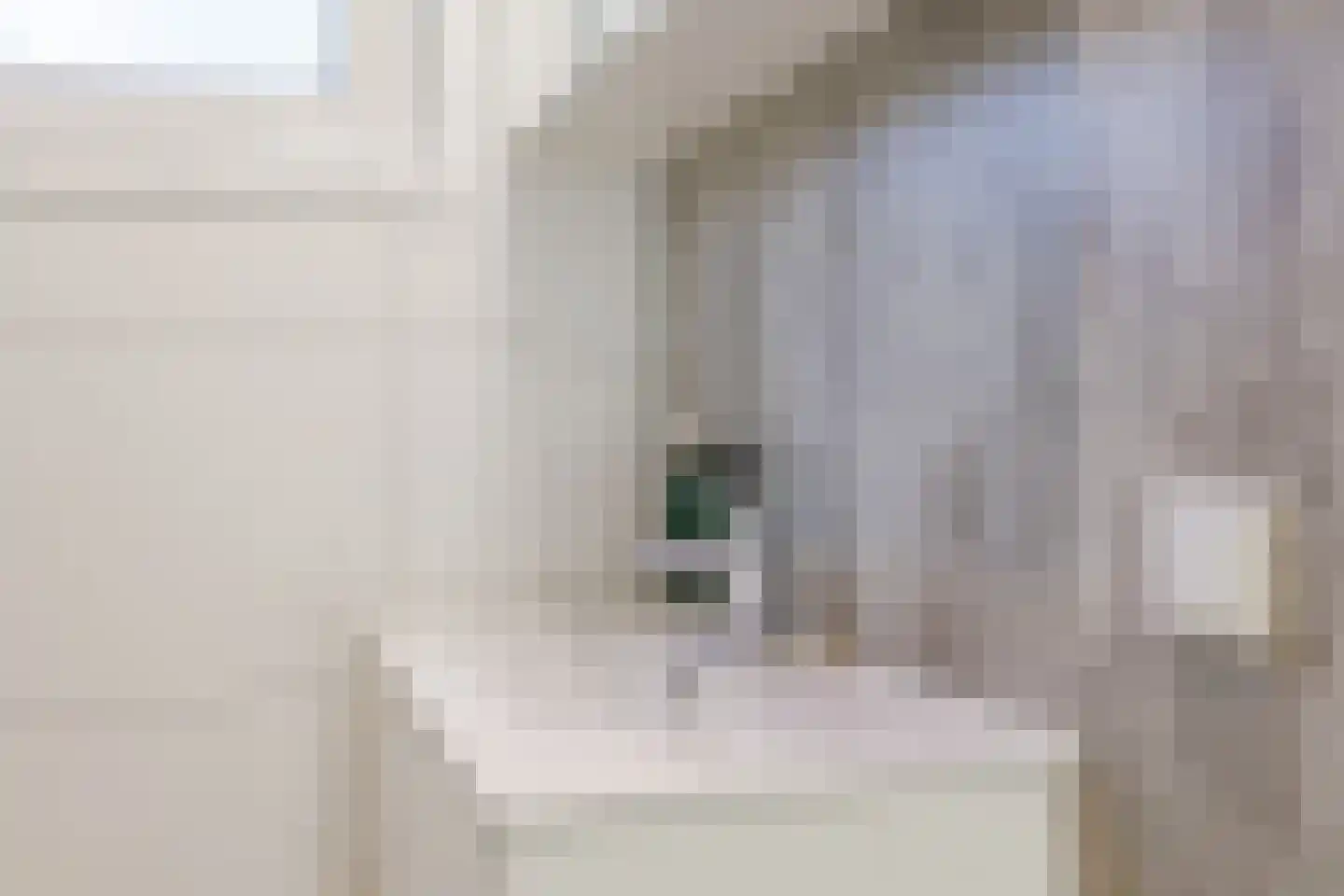 Lijsbeth Tijsweg 7 215 Berkhout thumbnail 26