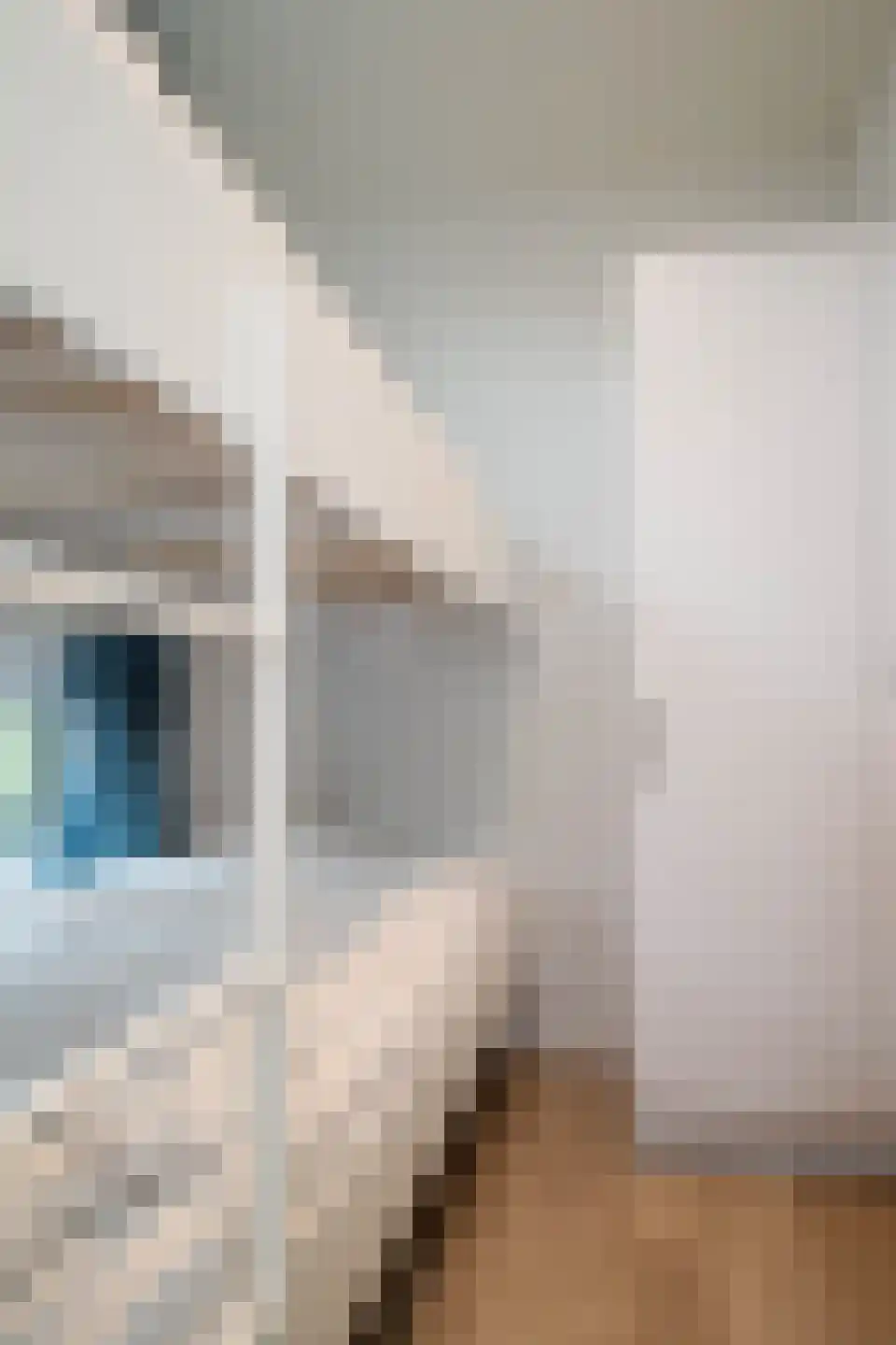 Lijsbeth Tijsweg 7 215 Berkhout thumbnail 27