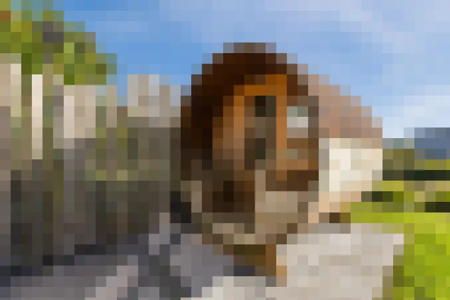 Lijsbeth Tijsweg 7 215 Berkhout thumbnail 31