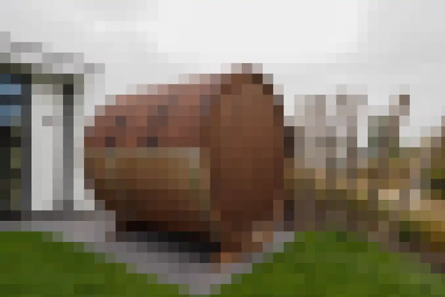 Lijsbeth Tijsweg 7 215 Berkhout thumbnail 33