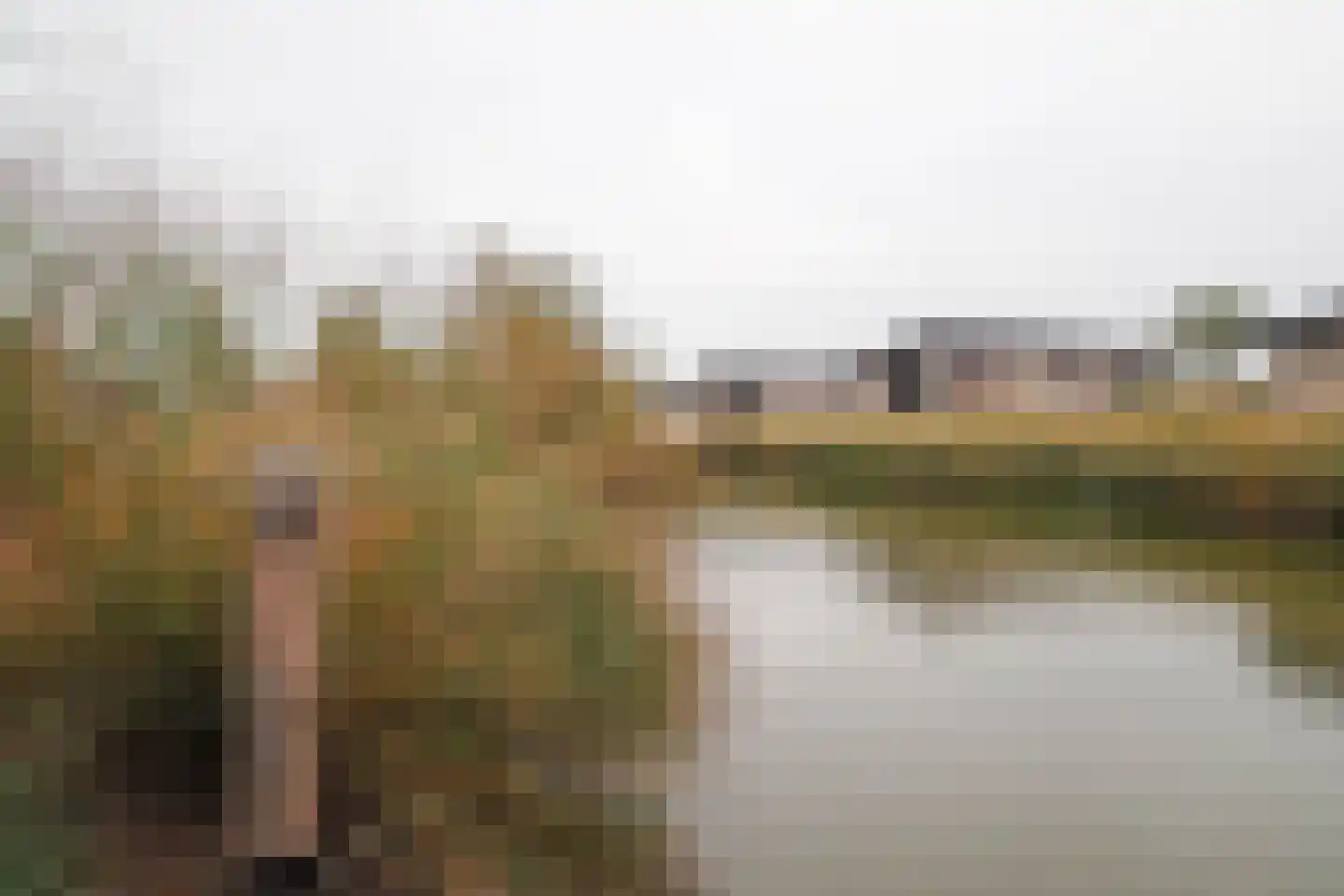 Lijsbeth Tijsweg 7 215 Berkhout thumbnail 34