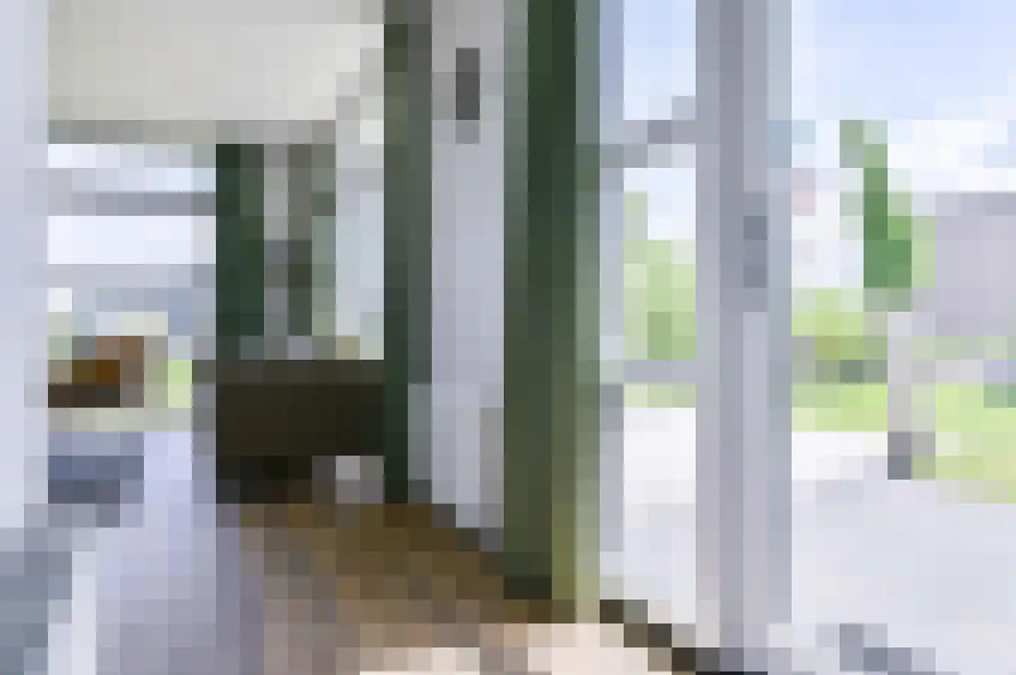 Lijsbeth Tijsweg 7 218 Berkhout thumbnail 12