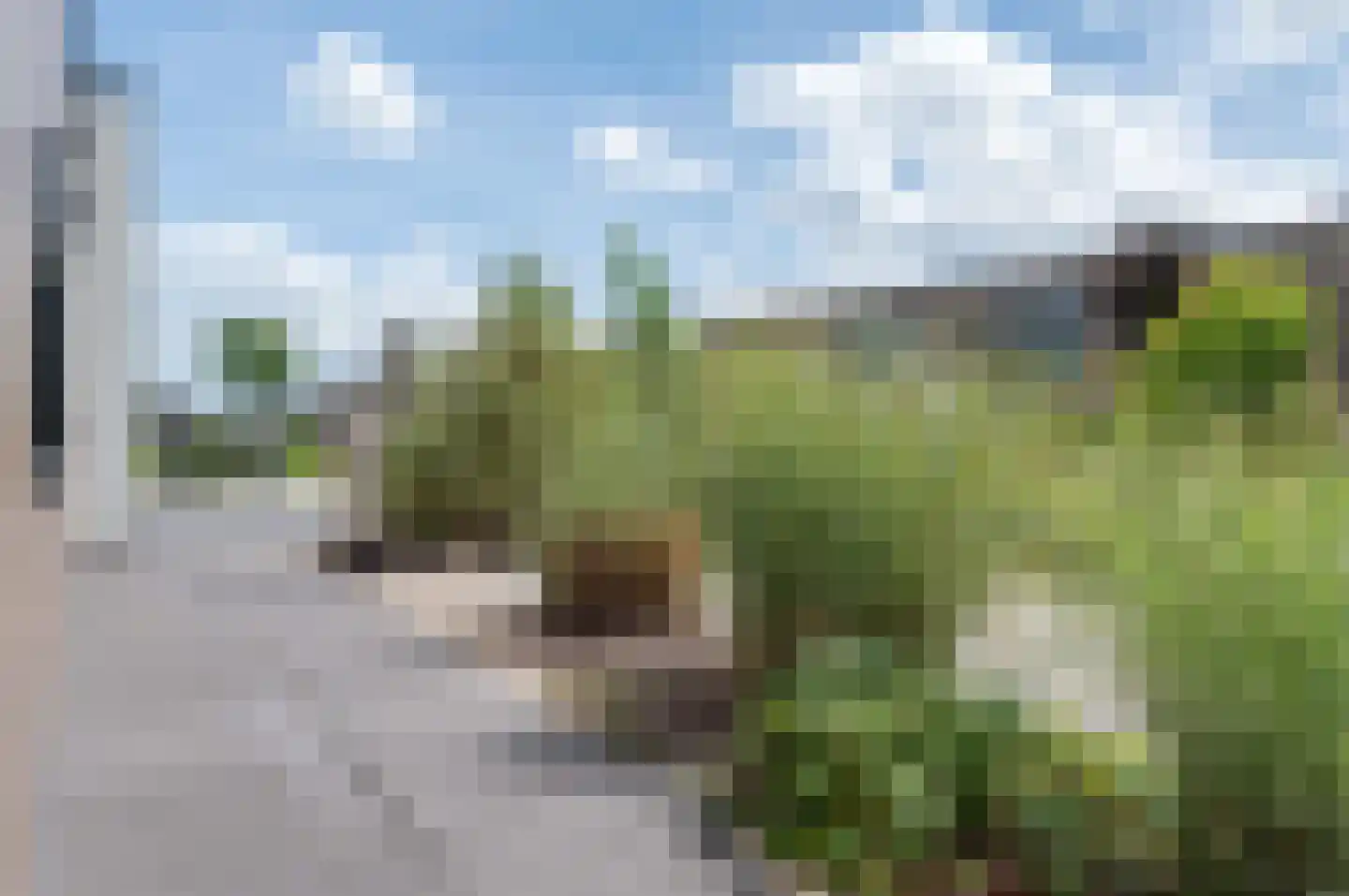 Lijsbeth Tijsweg 7 218 Berkhout thumbnail 29