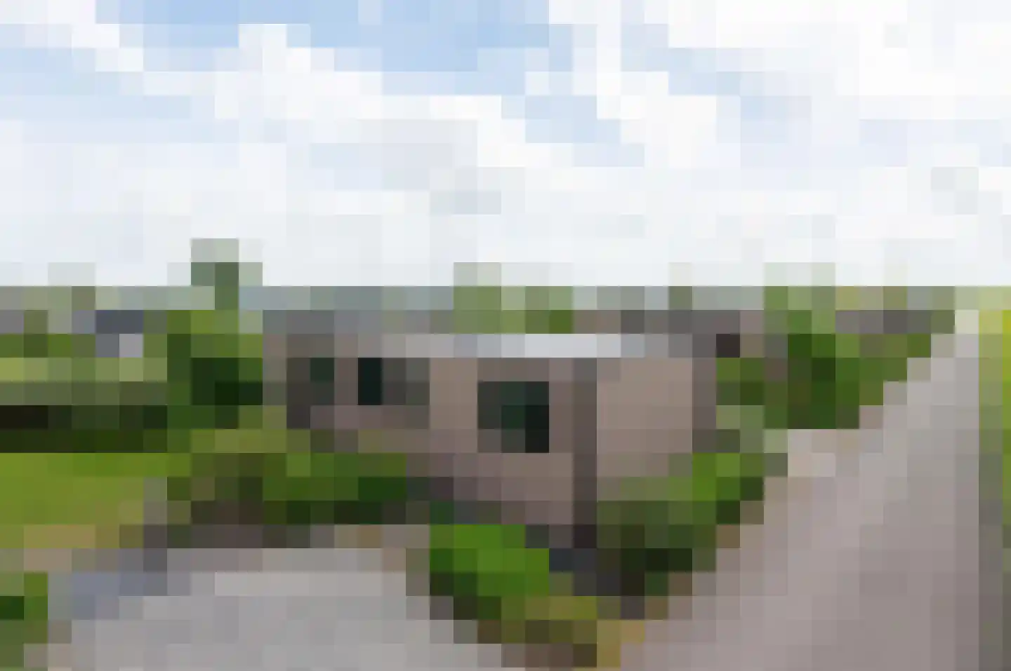 Lijsbeth Tijsweg 7 218 Berkhout thumbnail 30