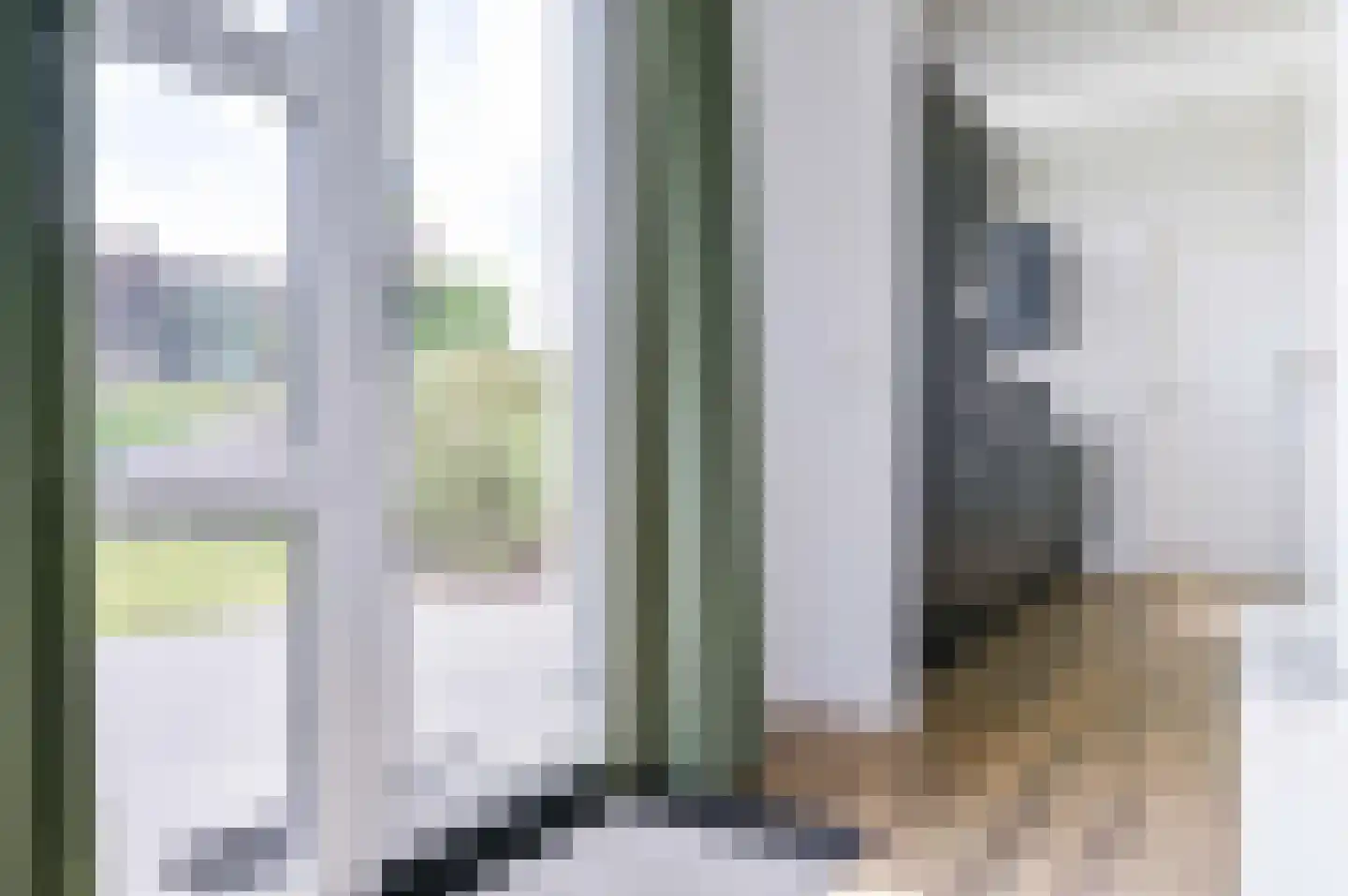 Lijsbeth Tijsweg 7 218 Berkhout thumbnail 9