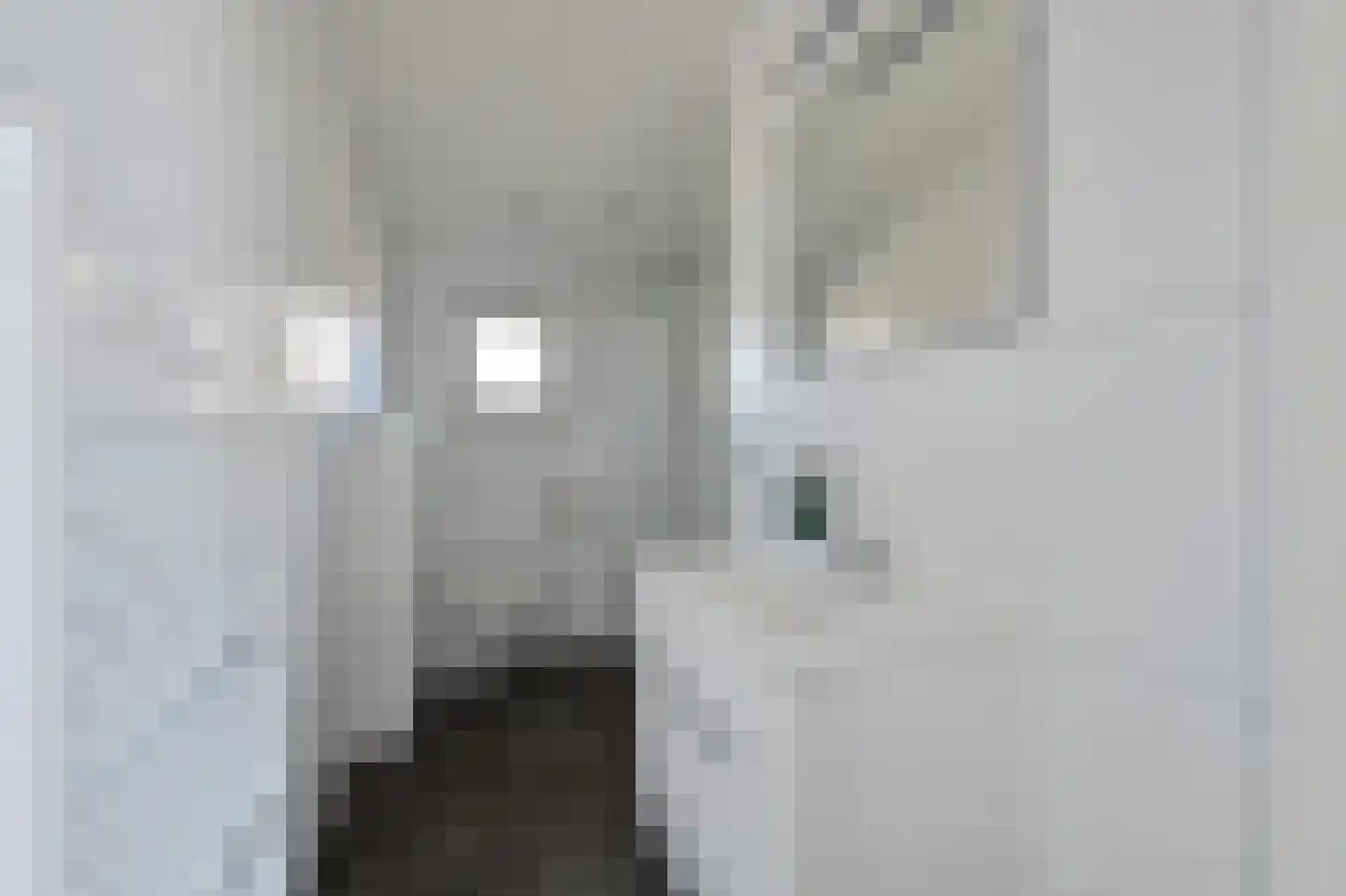 Lijsbeth Tijsweg 7 220 Berkhout thumbnail 12