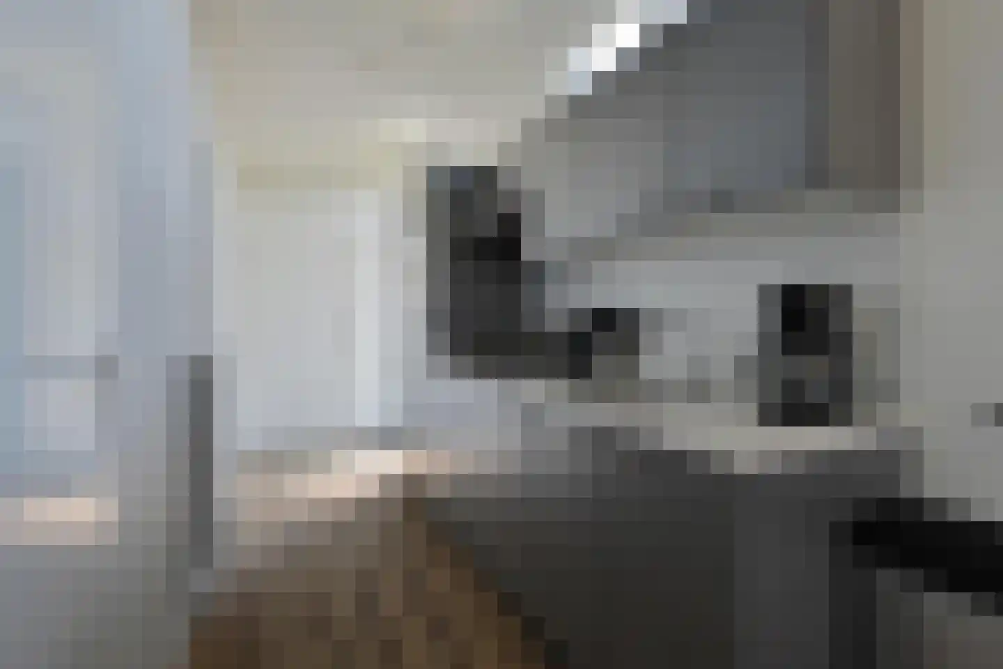 Lijsbeth Tijsweg 7 220 Berkhout thumbnail 9