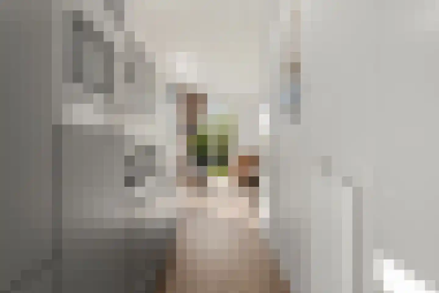 Lijsbeth Tijsweg 7 229 Berkhout thumbnail 10
