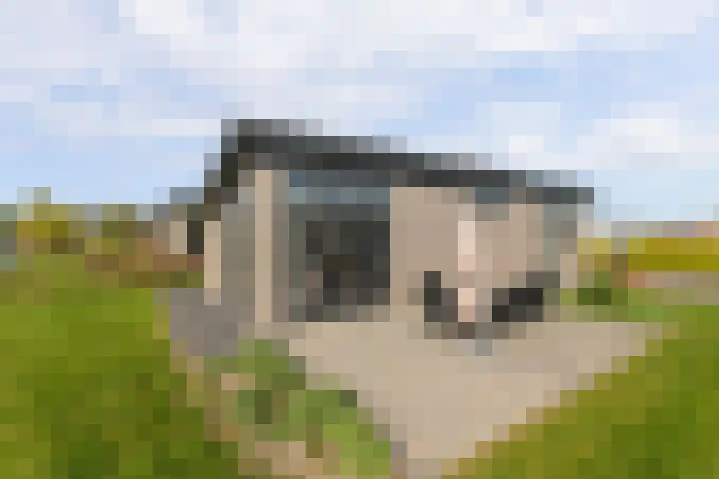 Lijsbeth Tijsweg 7 229 Berkhout thumbnail 18