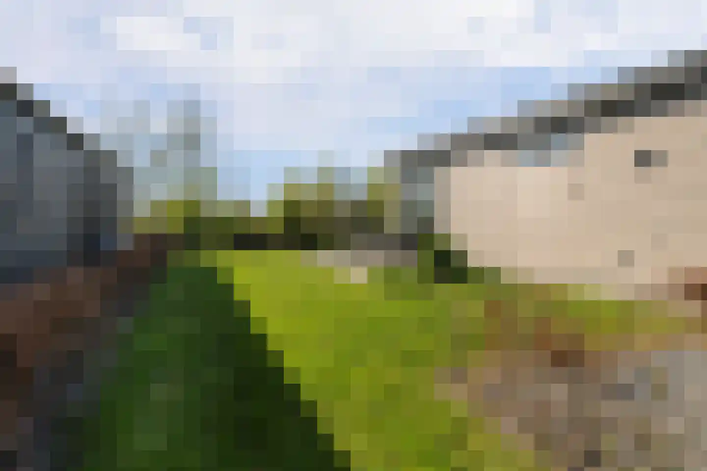 Lijsbeth Tijsweg 7 229 Berkhout foto 2