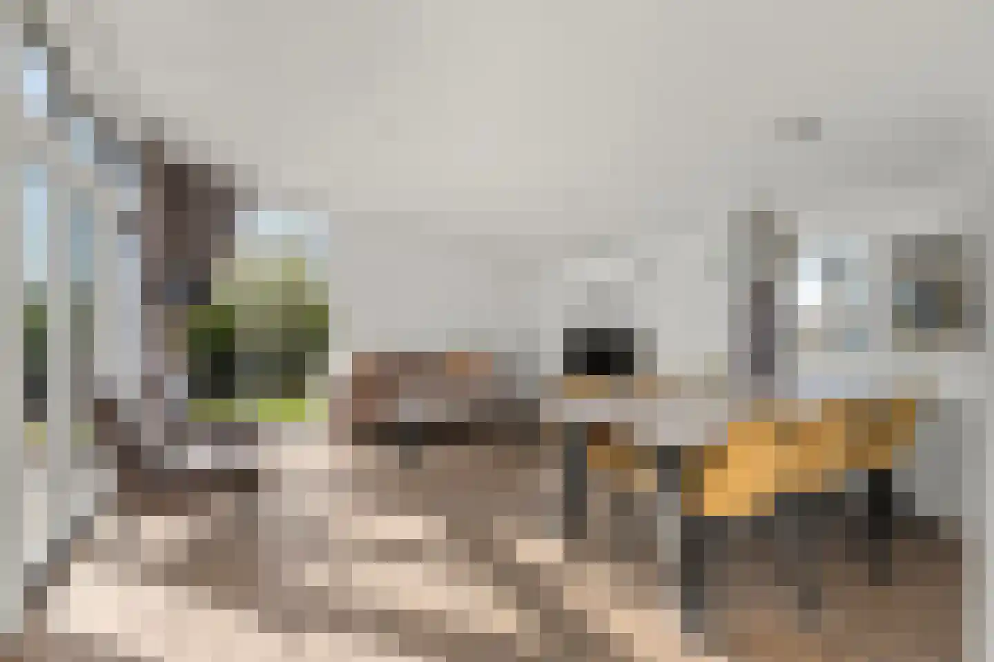 Lijsbeth Tijsweg 7 229 Berkhout thumbnail 4