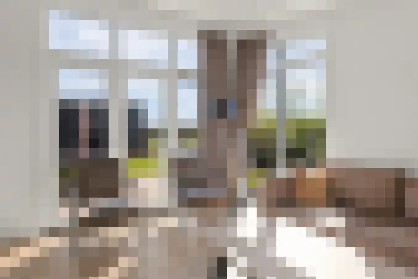 Lijsbeth Tijsweg 7 229 Berkhout thumbnail 5