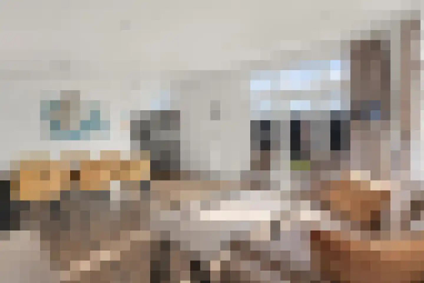 Lijsbeth Tijsweg 7 229 Berkhout thumbnail 6