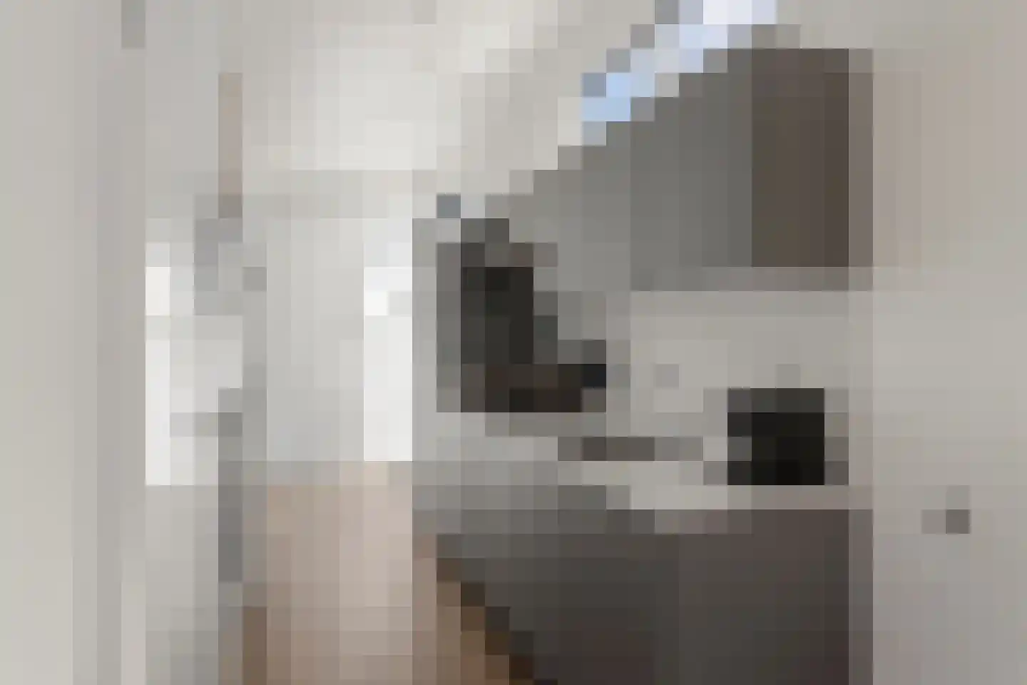 Lijsbeth Tijsweg 7 229 Berkhout thumbnail 8