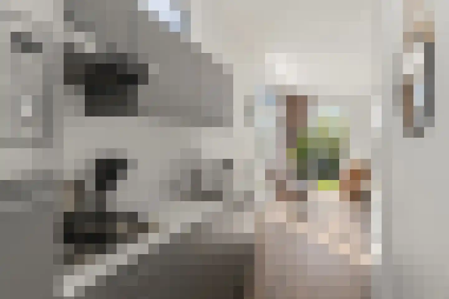 Lijsbeth Tijsweg 7 229 Berkhout thumbnail 9