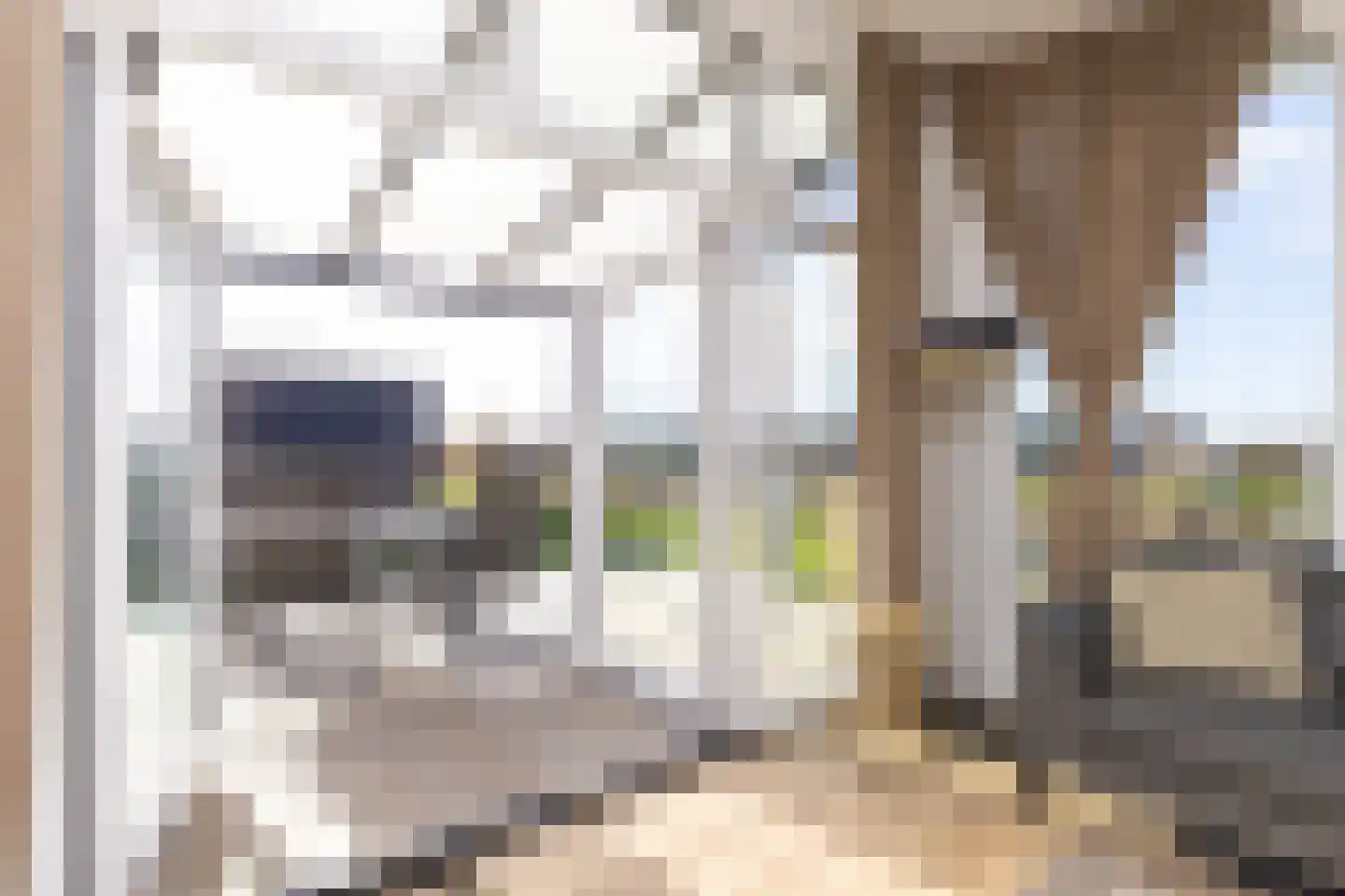 Lijsbeth Tijsweg 7 231 Berkhout thumbnail 18