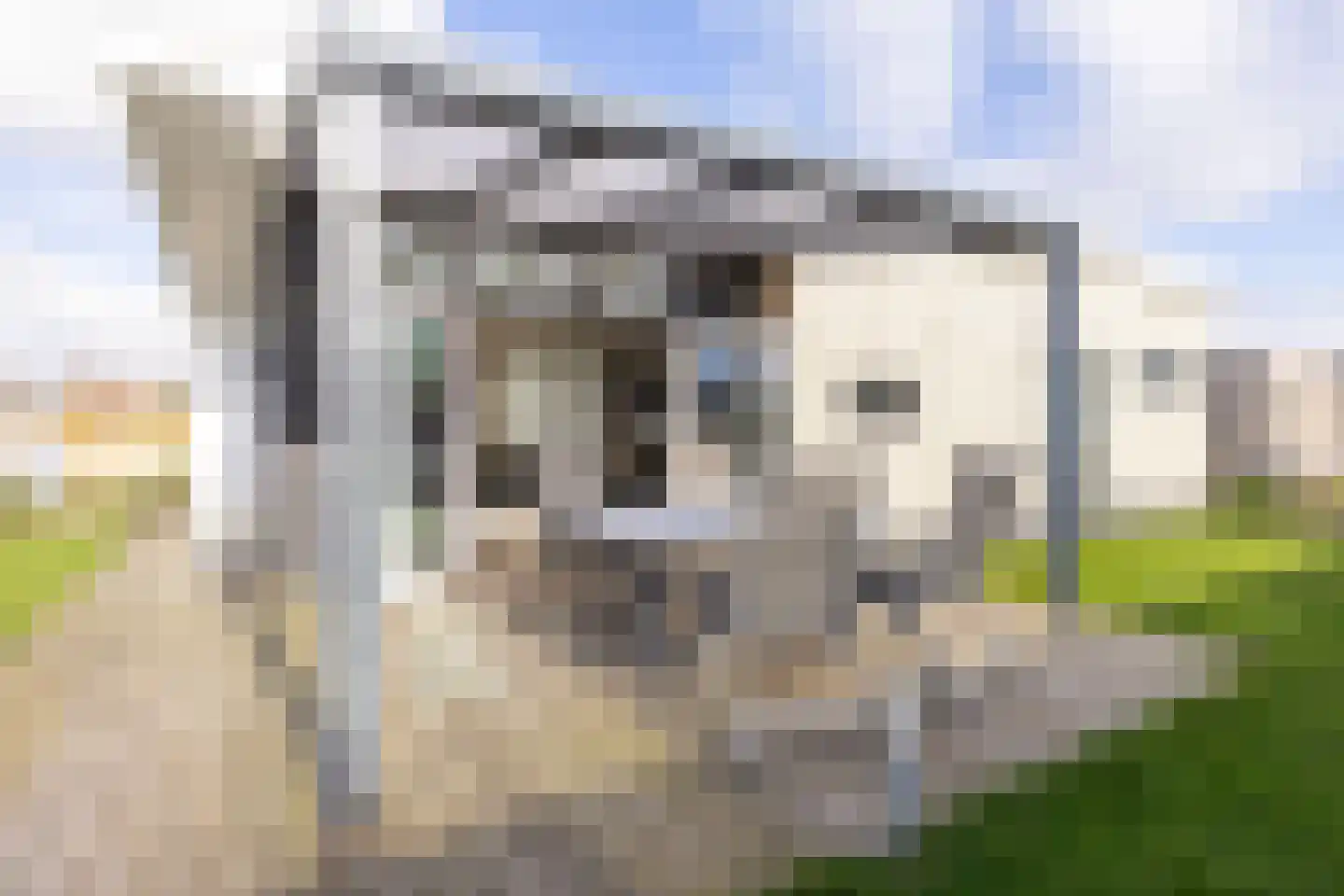 Lijsbeth Tijsweg 7 231 Berkhout thumbnail 19
