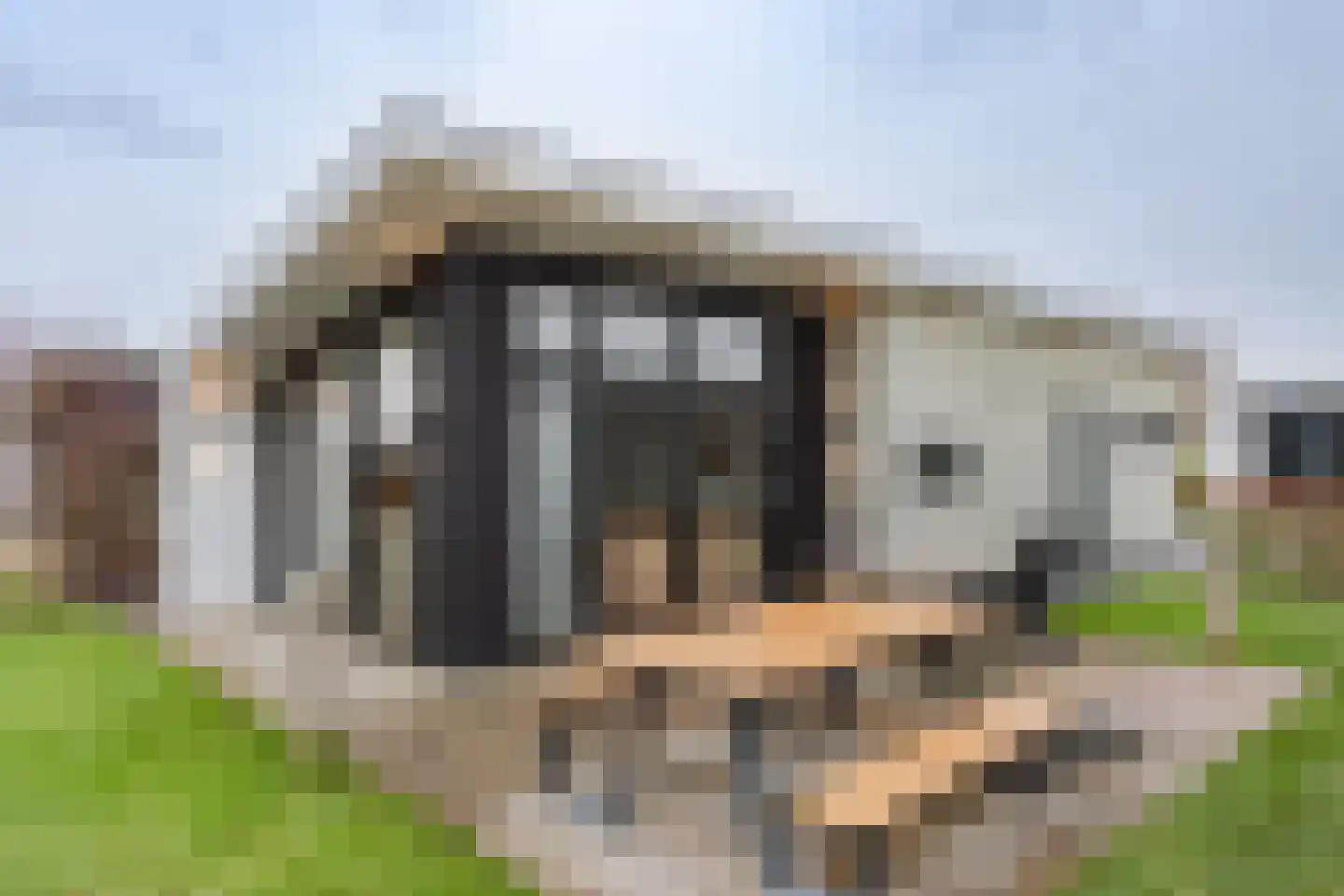 Lijsbeth Tijsweg 7 237 Berkhout thumbnail 20