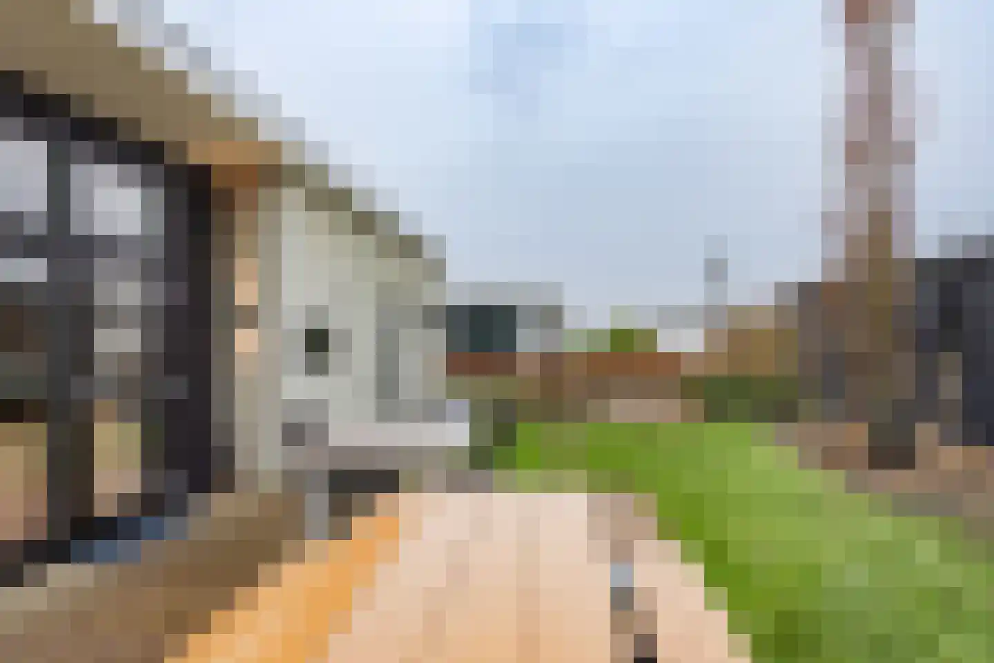 Lijsbeth Tijsweg 7 237 Berkhout thumbnail 22