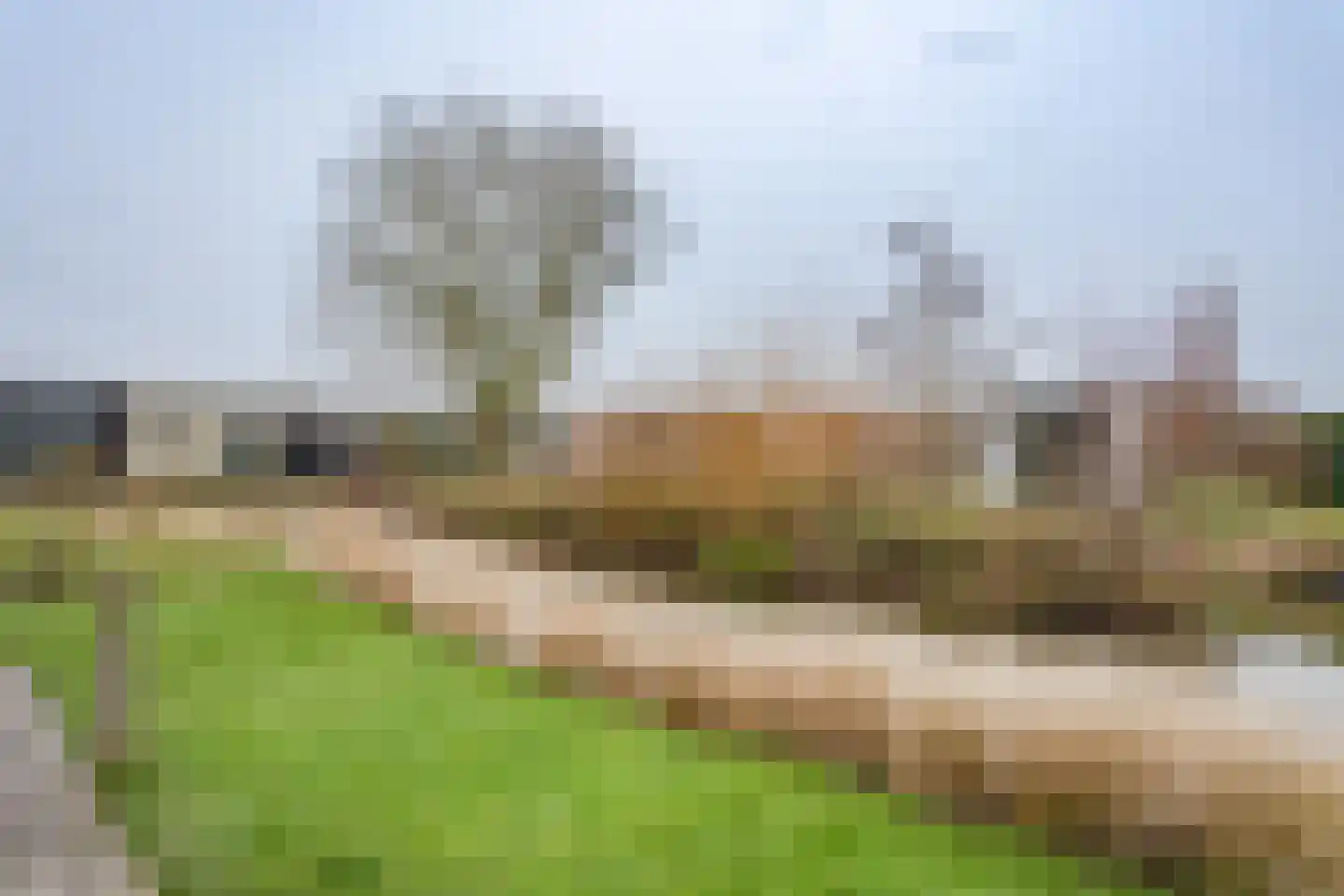 Lijsbeth Tijsweg 7 237 Berkhout thumbnail 23