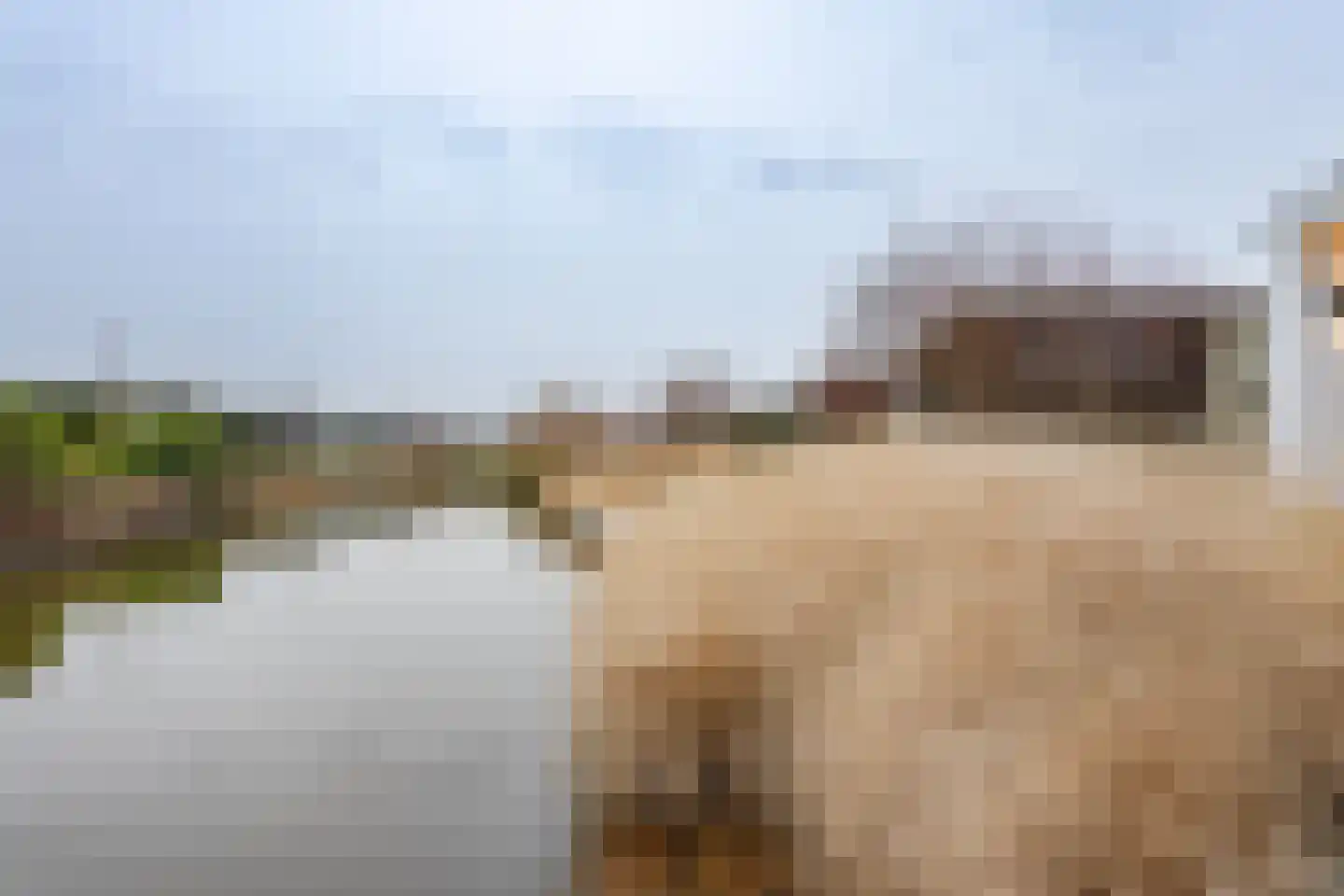 Lijsbeth Tijsweg 7 237 Berkhout thumbnail 24