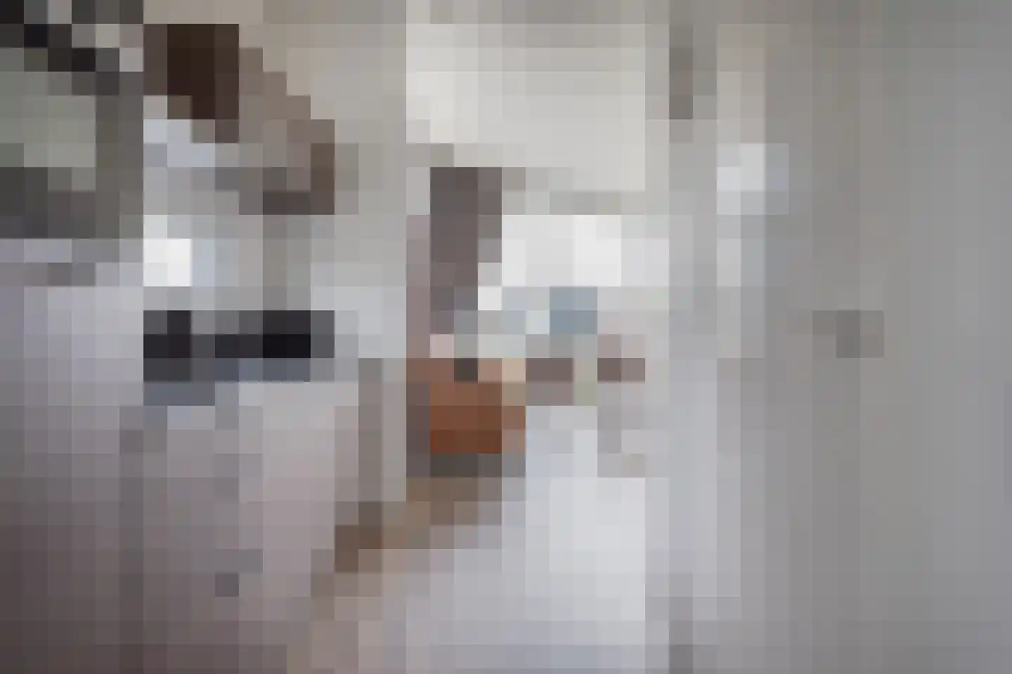 Lijsbeth Tijsweg 7 237 Berkhout thumbnail 9
