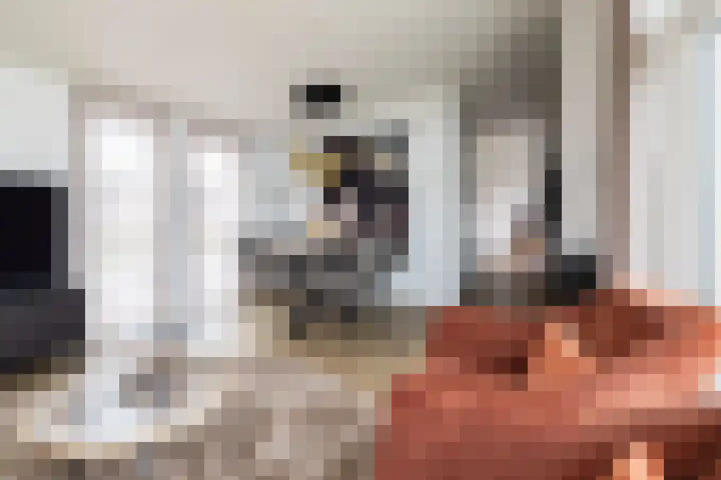 Lijsbeth Tijsweg 7 239 Berkhout thumbnail 10