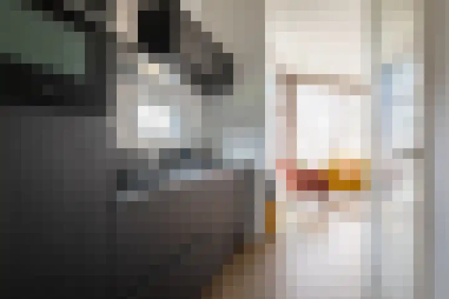 Lijsbeth Tijsweg 7 239 Berkhout thumbnail 11
