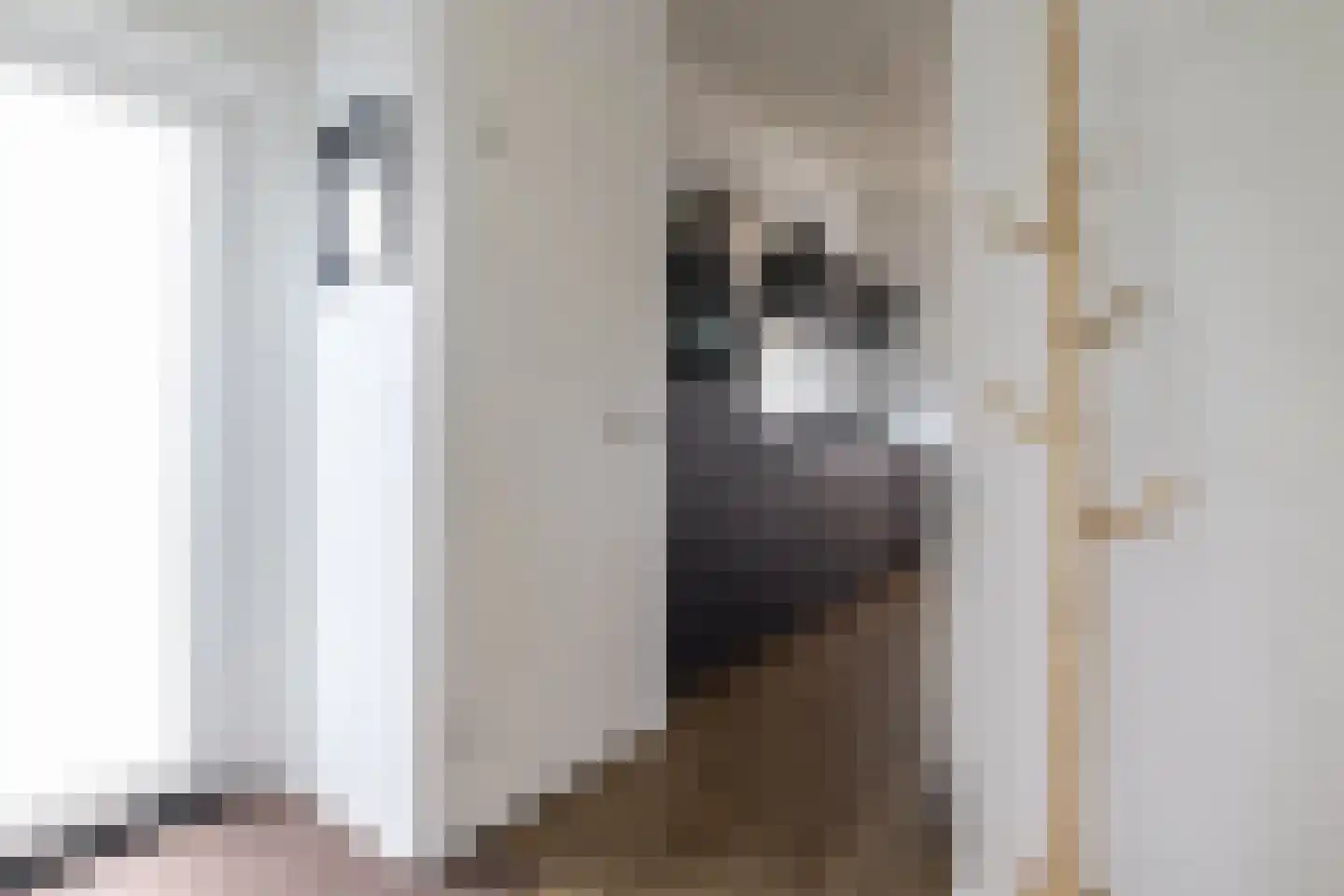 Lijsbeth Tijsweg 7 239 Berkhout thumbnail 15