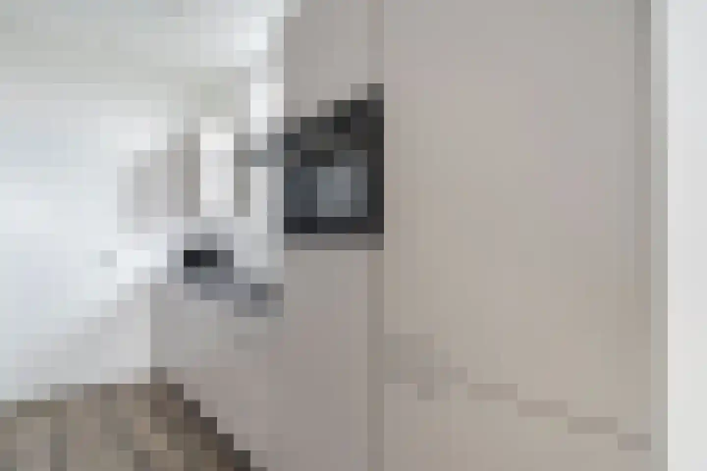 Lijsbeth Tijsweg 7 32 Berkhout thumbnail 10