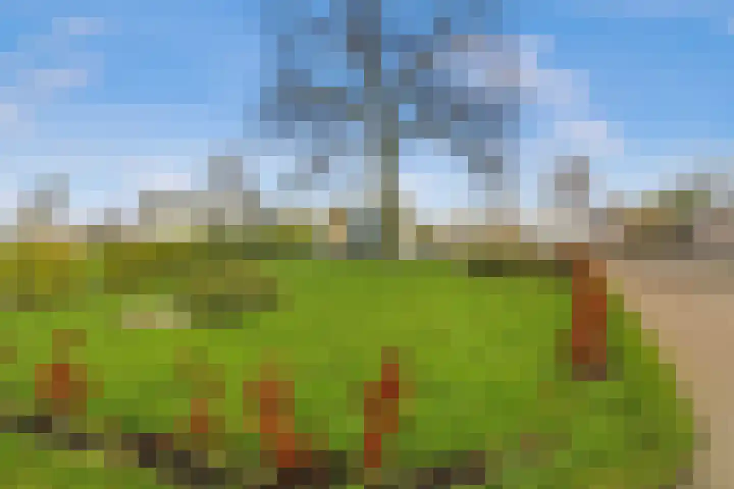 Lijsbeth Tijsweg 7 32 Berkhout thumbnail 23