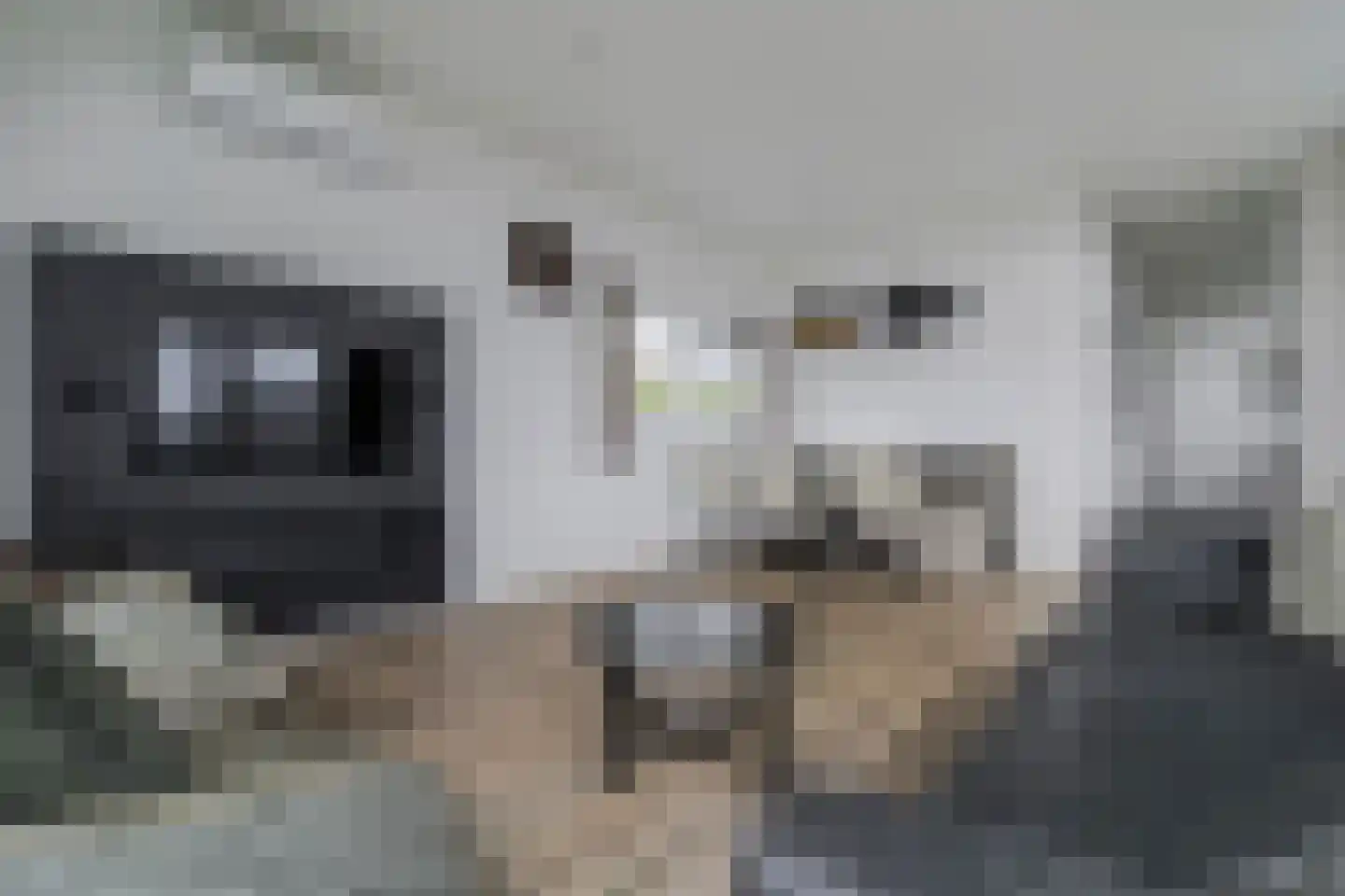 Lijsbeth Tijsweg 7 32 Berkhout thumbnail 6
