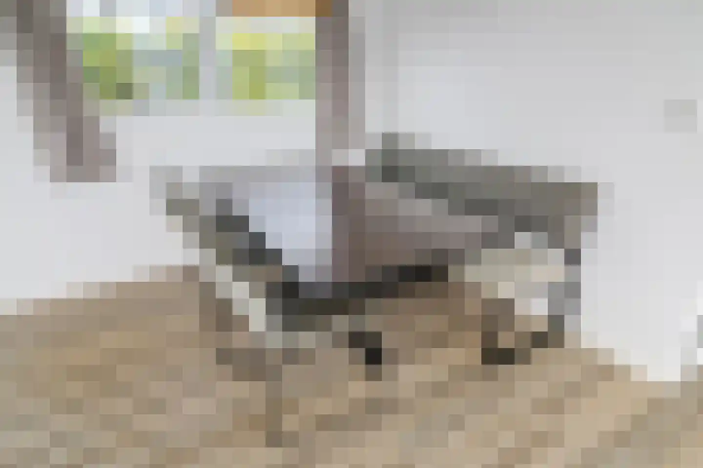 Lijsbeth Tijsweg 7 32 Berkhout thumbnail 9