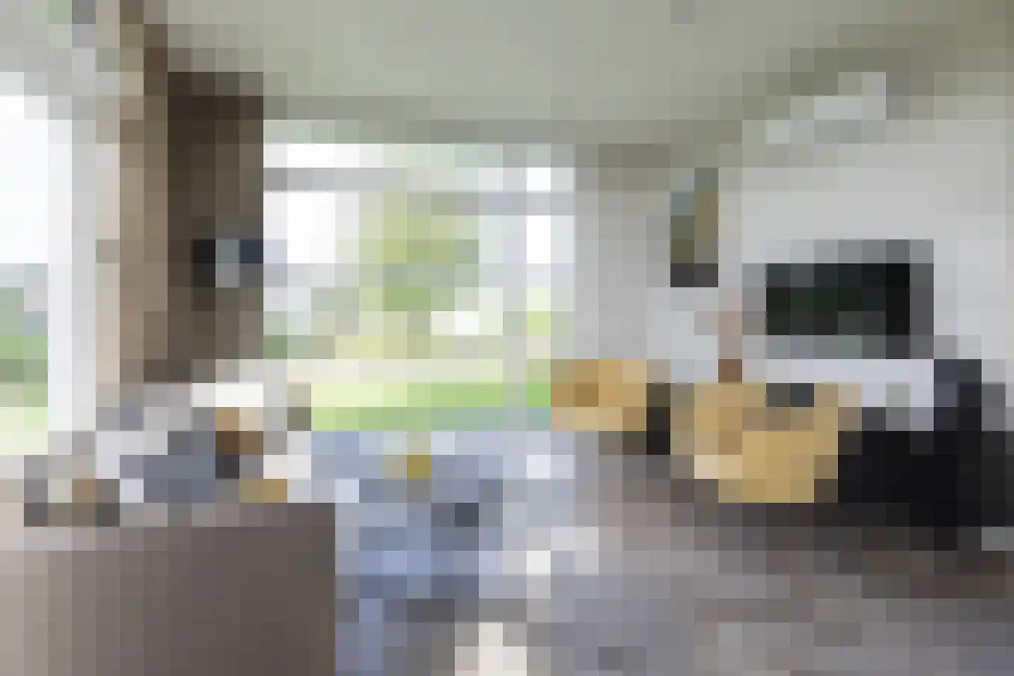 Lijsbeth Tijsweg 7 35 Berkhout thumbnail 12