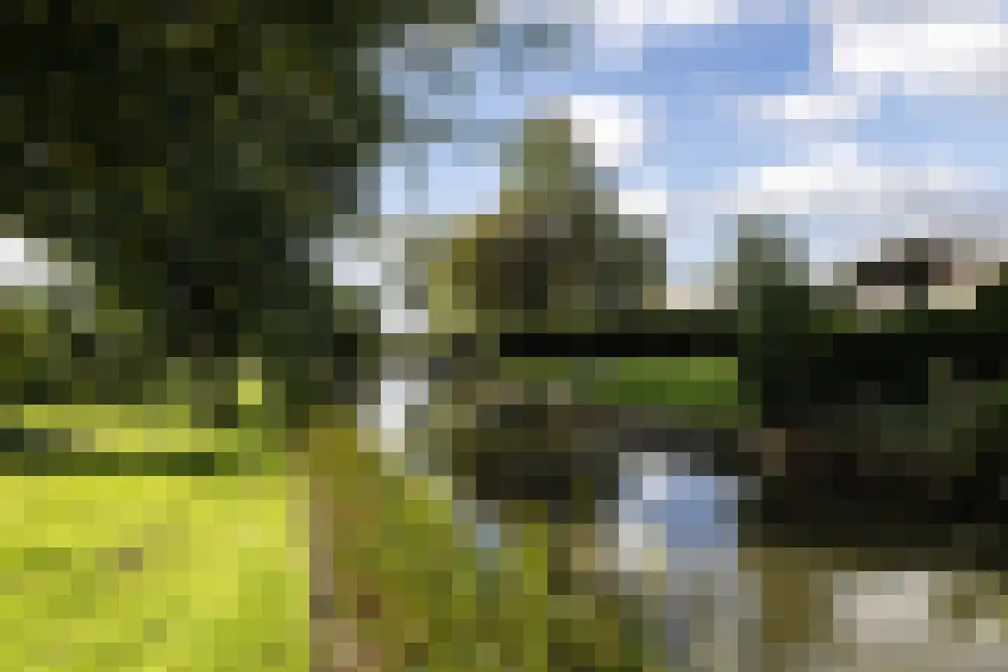 Lijsbeth Tijsweg 7 35 Berkhout thumbnail 30