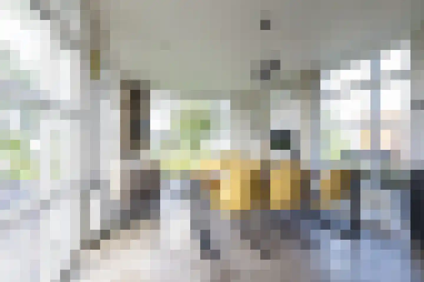 Lijsbeth Tijsweg 7 35 Berkhout thumbnail 9