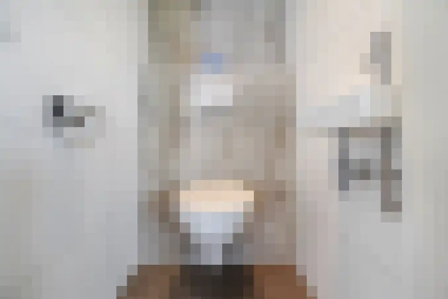 Lijsbeth Tijsweg 7 48 Berkhout thumbnail 17